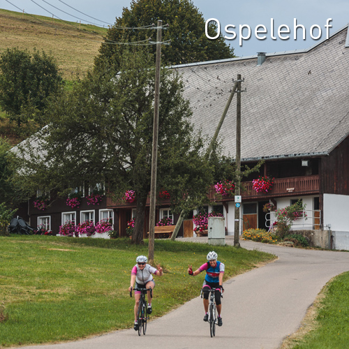 ospelehof2016